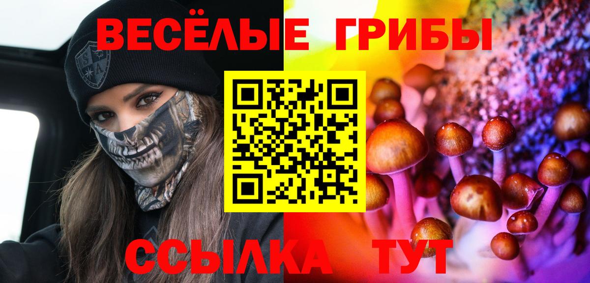 Псилоцибиновые грибы Cubensis  Вход с VPN  Электросталь 