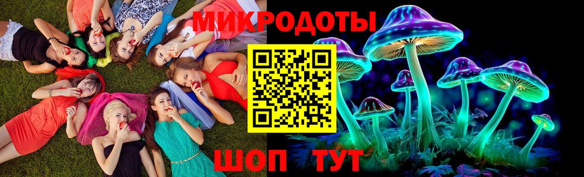 Галлюциногенные грибы Psilocybine cubensis Электросталь